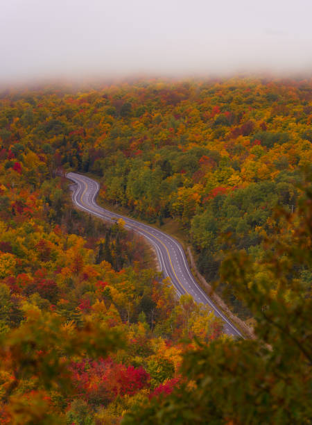 istock New England Scenic Fall Foliage Drive Road Curves Through Epic Forest. Beautiful Adirondacks New York Autumn Travel Tourism. Fog Clouds. No Cars 2178233205