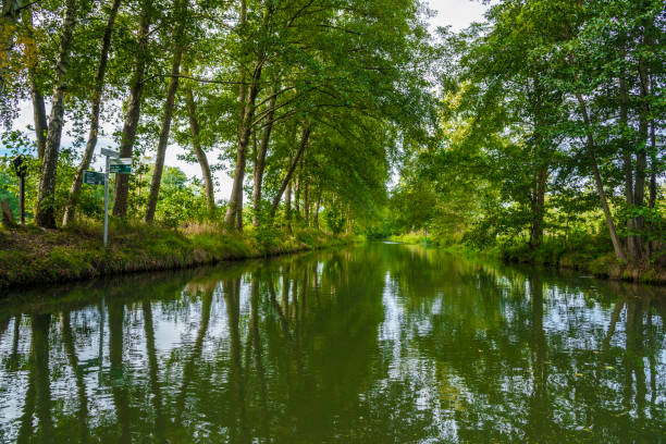 Spreewald - fern leafs mirroring in water. East germany natural tourist attraction