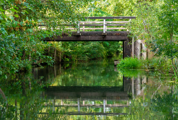 Canoe view. National Park vivid green color nature.