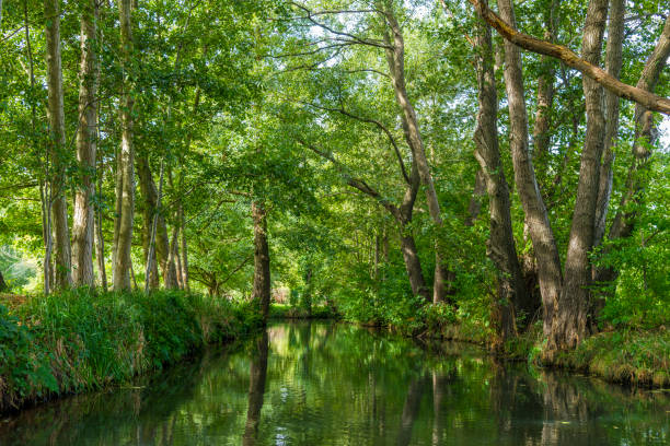 istock Spreewald Germany - idyllic river landscape with mirrored trees in summer 2178233805