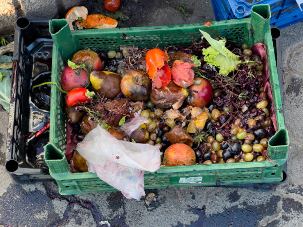 istock A green crate overflows with decayed fruits and vegetables, showcasing bright colors blended with rot, highlighting nature's impermanence and transformation 2178235821