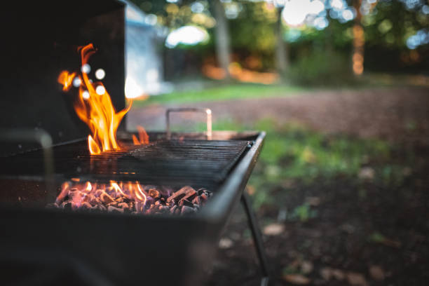 istock BBQ fire under the grill in a forest on vacation. 2178242227