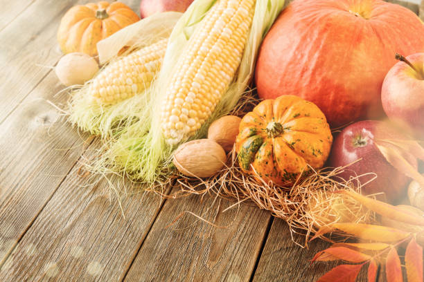 Thanksgiving background. Pumpkin, apple, corn and walnuts on old wooden retro barn table. Concept of autumn festive decoration for Thanksgiving day.