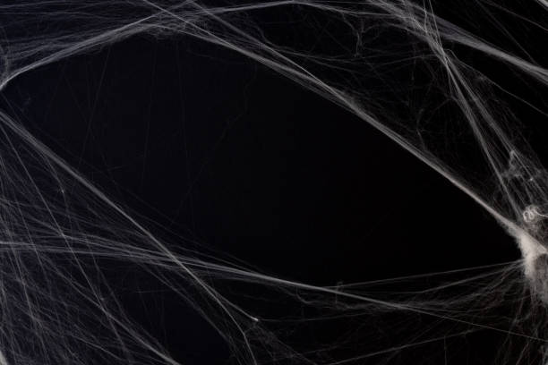 istock close up spider's web on black color background with copy space for add content or design on display and card invitation for halloween night party design concept concept 2178244131