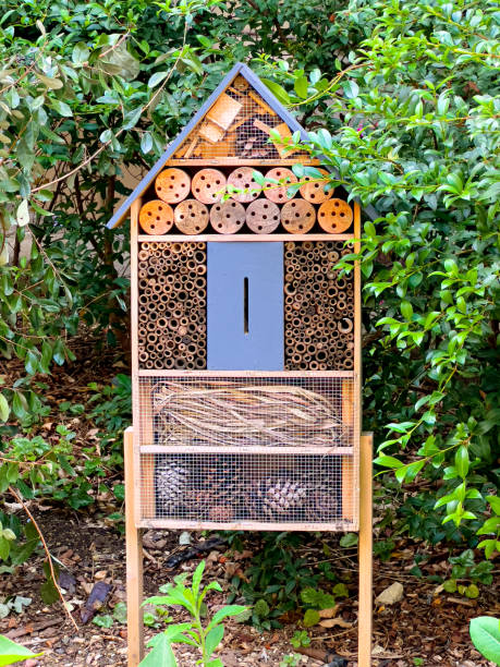 istock Wooden insect hotel 2178245817