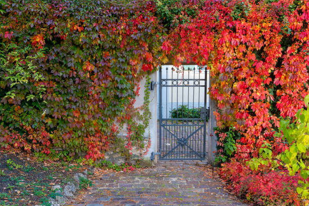 A black wrought iron gate stands open, flanked by vibrant red and green foliage. The gate opens onto a brick pathway that leads to a garden.