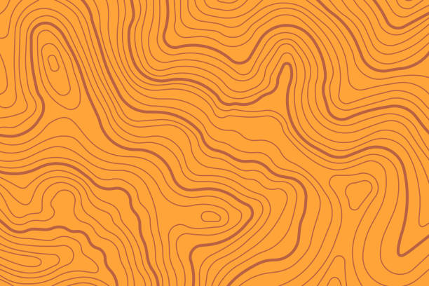 Topographic map lines travel modern background.