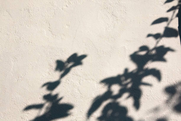 istock Shadow of leaves on textured wall 2178253168