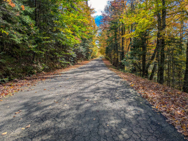istock Street surrounded by trees in sunny day 2178254497