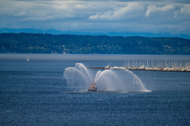 Birds and Mount Rainier in the background at Lake Washington in Seattle. Shot in January 2023