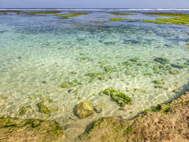 istock Melasti Beach in Bali, Indonesia 2178256282