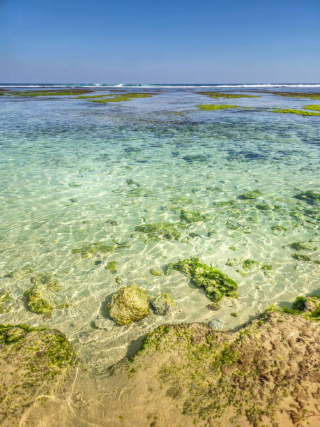istock Melasti Beach in Bali, Indonesia 2178256398