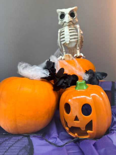 istock Image of whimsical halloween decorations / jack-o'-lantern pumpkins with skeleton owl / spooky and fun displays 2178259897