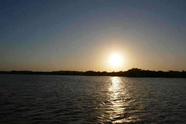 ISimangaliso Wetland Park, previously known as St. Lucia Wetland Park, is situated on the east coast of KwaZulu Natal, South Africa, on the border to Mozambique.  It´s South Africa´ s third largest protected area.