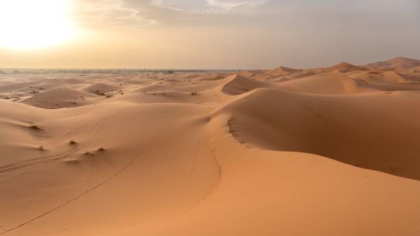 istock Vast desert landscape with rolling sand dunes at sunset 2178265454