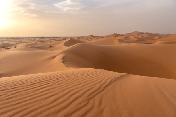 istock Vast desert landscape with rolling sand dunes. 2178265536