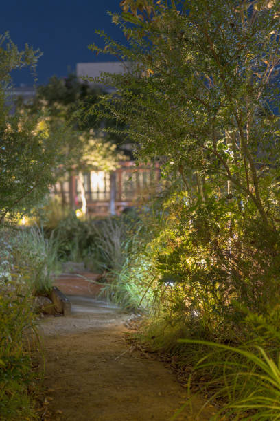 istock Material of the park at night when it is lit up 2178266217