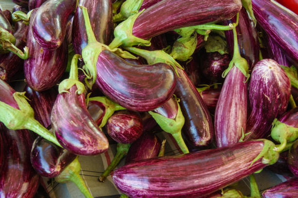istock Fresh eggplants on the market - Solanum melongena 2178266253