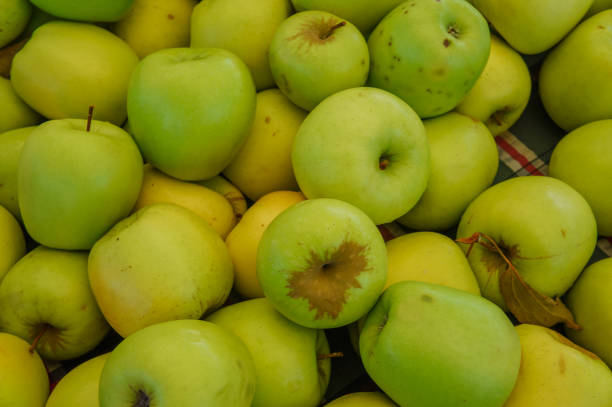 apples