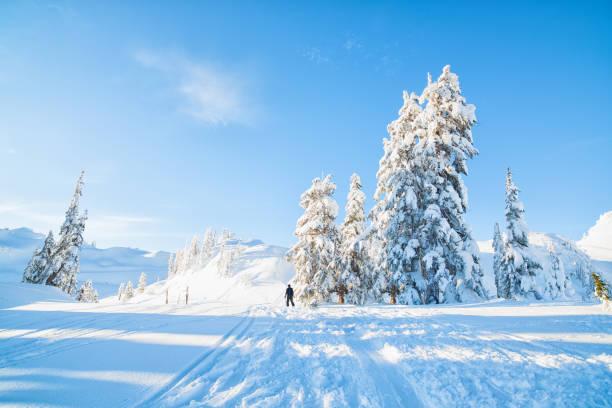 istock Mount Baker Artist Point Snowshoeing 2178270712