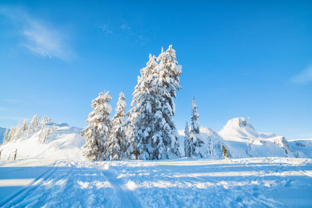 istock Mount Baker Artist Point Snowshoeing 2178270714