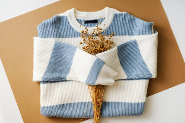 istock Cozy white and blue striped sweater with rustic dried flowers on a dual-tone background. Perfect for fashion blogs, autumn wardrobe updates, or lifestyle websites 2178273778