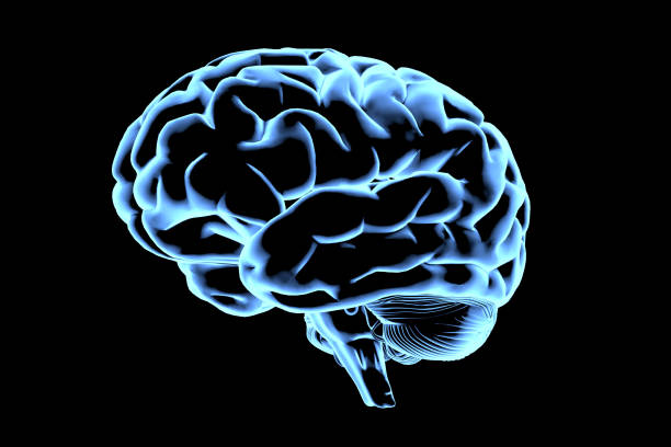 istock Abstract brain hologram. AI brain. Neon brain on dark background. Neurology research, artificial intelligence. Diagnosis of organs. 2178274413