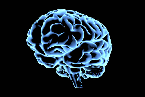 istock Abstract brain hologram. AI brain. Neon brain on dark background. Neurology research, artificial intelligence. Diagnosis of organs. 2178274419