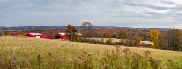 Colorful trees next to Wisconsin farmland with red barn, panorama