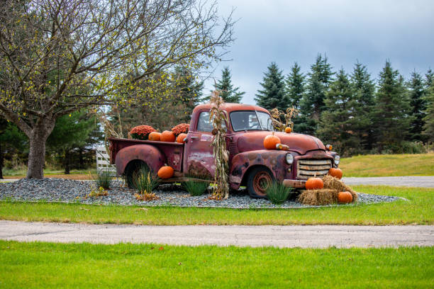 Old rusty truck decorated with pumpkins and cornstalks, horizontal