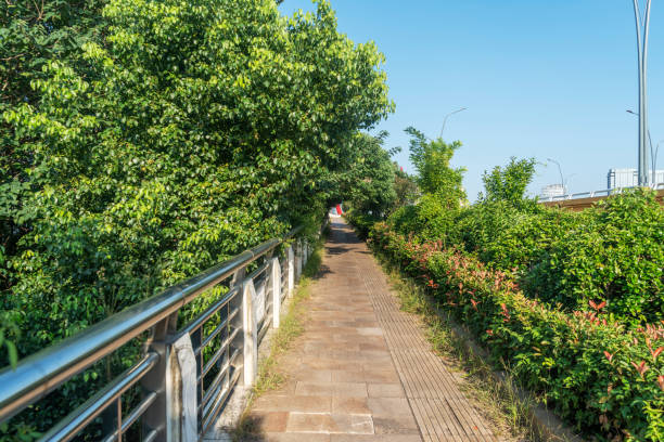 walkway in the modern city