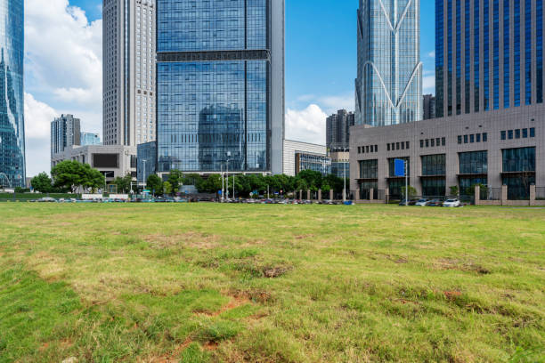 istock city park with modern building background in shanghai 2178284300