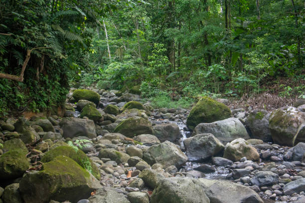 istock Dry river in Costa Rica 2178284596
