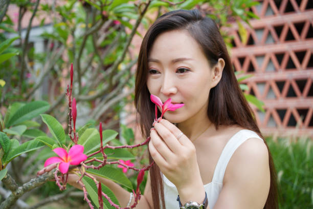 Asian middle-aged woman smelling red flowers