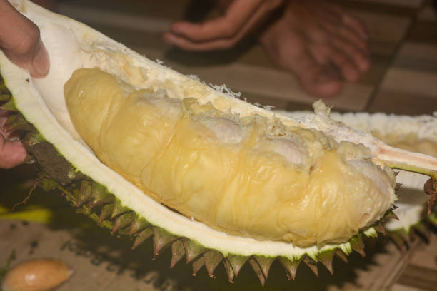 istock Durian fruit with cut in half and leaves  isolated on white background. 2178288757
