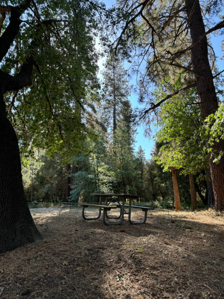 istock Picnic Table at Campground, Big Trees, Nature 2178289959