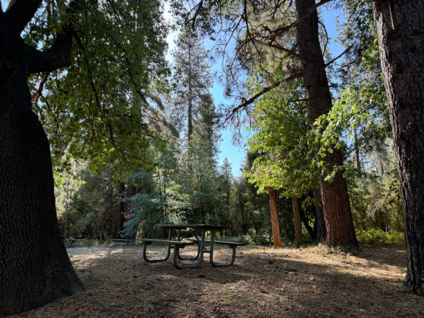 istock Picnic Table at Campground, Big Trees, Nature 2178290008