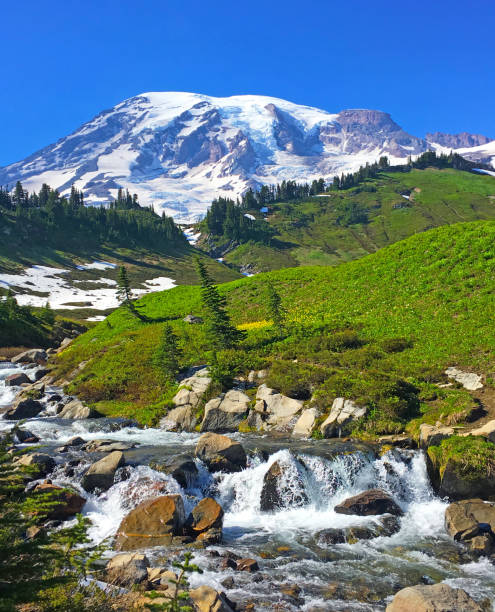 istock Mount Rainier National Park landscape 2178292597