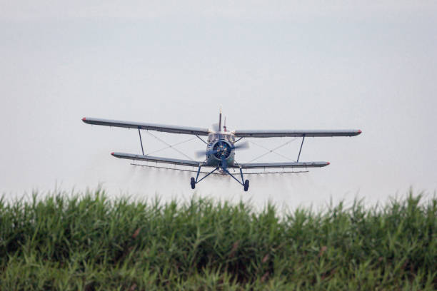 Agricultural plane in low flight. Lucas do Rio Verde, Mato Grosso, Brazil.