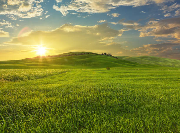 istock Sunset over wheat field and green hills in Tuscany 2178293015