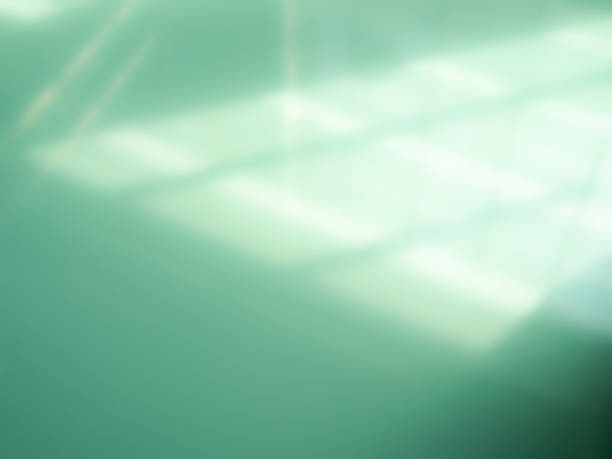 istock Green background shadow light summer sunight overlay nature on room cement wall floor abstract blur muckup effect minimal platform for presentation product backdrop, wallpaper template display. 2178295346