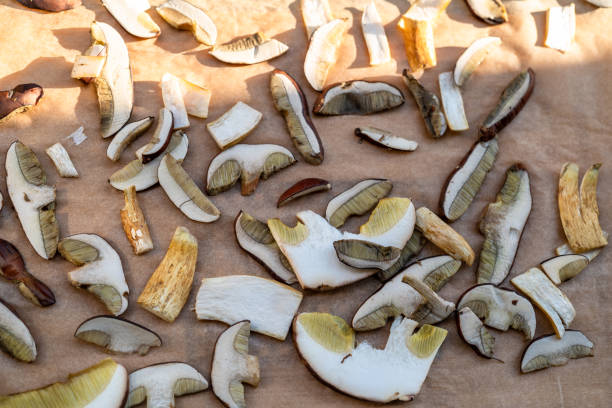 istock Drying mushrooms in the sun. Thinly sliced mushrooms spread out on parchment paper 2178295713