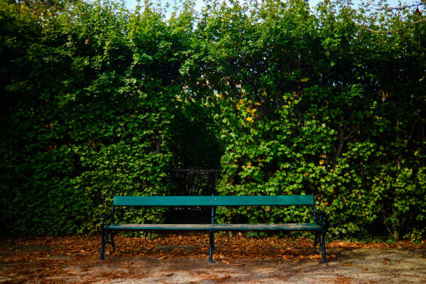 a bench in the start ot the autumn