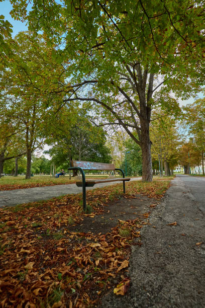 istock Bench in the middle of a park 2178297367
