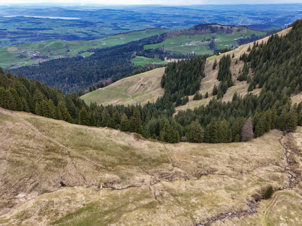 istock Scenic Aerial View of Rolling Hills and Forested Valleys 2178299774