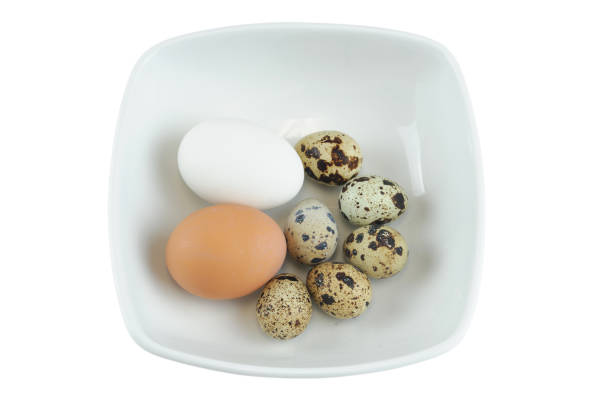 Brown and white chicken eggs and quail eggs in the bowl