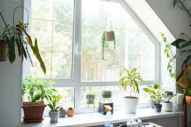 istock Window cleaning products are lying on the windowsill with a rag, spray, detergent, a robot cleaner. Spring cleaning in the house, cleaning service 2178301222