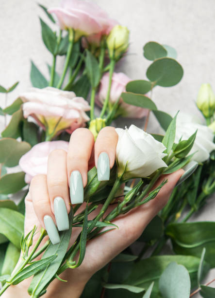 istock Elegant hand holding white and light pink roses surrounded by greenery on a soft backdrop 2178303935