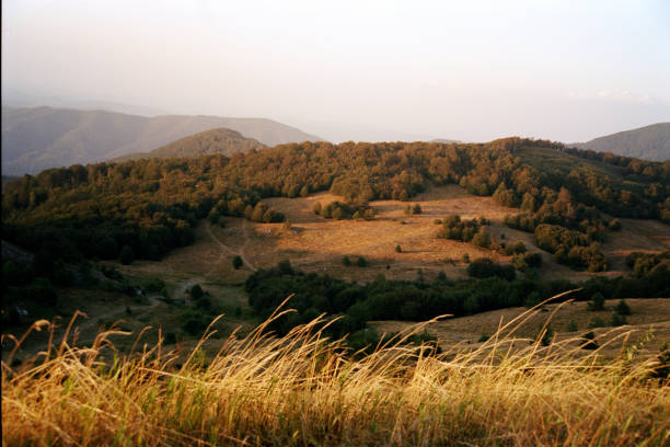 Beautiful mountain landscape shot on film