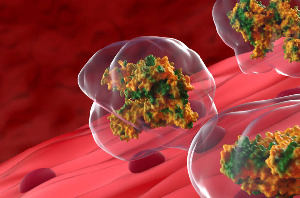 Botulinum neurotoxin in the muscle - 3d illustration closeup view stock photo